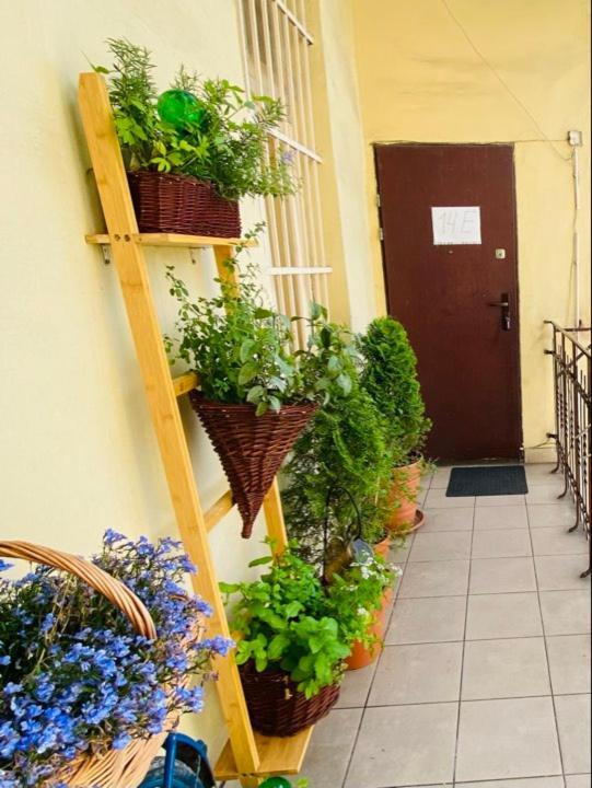 Miodowa Kazimierz Apartment Krasków Εξωτερικό φωτογραφία